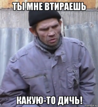 ты мне втираешь какую-то дичь!