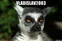 vladislav2003 