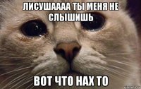 лисушаааа ты меня не слышишь вот что нах то