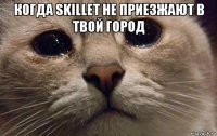 когда skillet не приезжают в твой город 