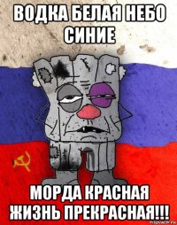 водка белая небо синие морда красная жизнь прекрасная!!!