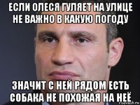 если олеся гуляет на улице не важно в какую погоду значит с ней рядом есть собака не похожая на неё