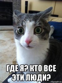  где я? кто все эти люди?