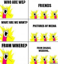Who are we? Friends What are we want? Pictures of Meena From where? From engage, wedding..