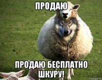 продаю продаю бесплатно шкуру!