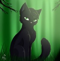 ниче не поняла.... а ты и не поймешь!, Мем Коты воители-Остролистая