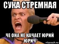 сука стремная че она не качает юрий юрич