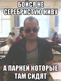 бойся не серебристую ниву а парней которые там сидят