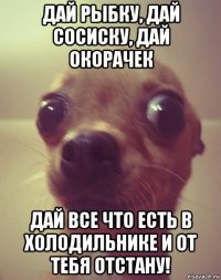 дай рыбку, дай сосиску, дай окорачек дай все что есть в холодильнике и от тебя отстану!