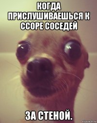 когда прислушиваешься к ссоре соседей за стеной.