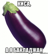 киса, а я бакладжан