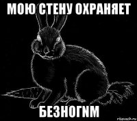 мою стену охраняет бeзногnm