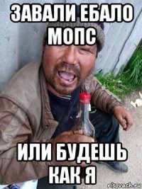 завали ебало мопс или будешь как я