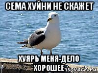 сема хуйни не скажет хуярь меня-дело хорошее