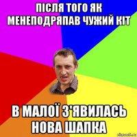 після того як менеподряпав чужий кіт в малої з'явилась нова шапка