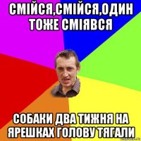 смійся,смійся,один тоже сміявся собаки два тижня на ярешках голову тягали