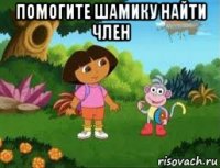 помогите шамику найти член 