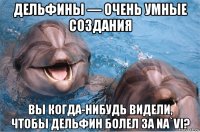 дельфины — очень умные создания вы когда-нибудь видели, чтобы дельфин болел за na`vi?