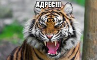 адрес!!! 