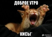 доброе утро кисы*