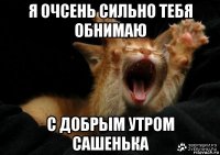 я очсень сильно тебя обнимаю с добрым утром сашенька