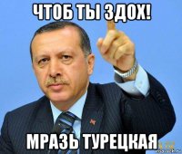 чтоб ты здох! мразь турецкая