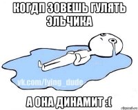 когдп зовешь гулять эльчика а она динамит :(