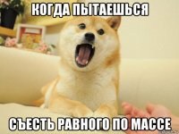 когда пытаешься съесть равного по массе