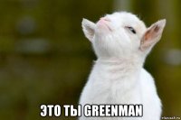  это ты greenman