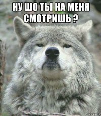 ну шо ты на меня смотришь ? 