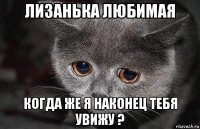 лизанька любимая когда же я наконец тебя увижу ?