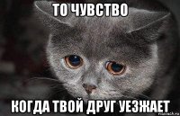 то чувство когда твой друг уезжает