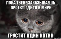 пока ты не заказываешь проект, где то в мире грустит один котик