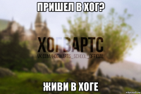 пришел в хог? живи в хоге