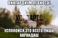 вингардиум левиоса! успокойся,это всего лишь карандаш