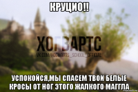 круцио!! успокойся,мы спасем твои белые кросы от ног этого жалкого маггла