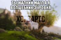 ты жалкий магл а я волшебник 3 уровня 