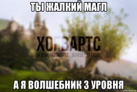 ты жалкий магл а я волшебник 3 уровня