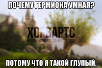 почему гермиона умная? потому что я такой глупый.