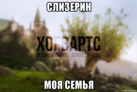 слизерин моя семья