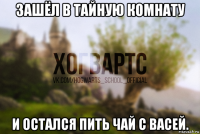 зашёл в тайную комнату и остался пить чай с васей.