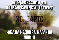 когда сказали что хогвартса не существует -авада кедавра, нагайна ужин!