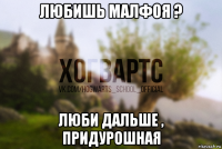 любишь малфоя ? люби дальше , придурошная