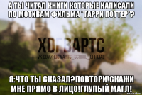 а ты читал книги которые написали по мотивам фильма "гарри поттер"? я:что ты сказал?повтори!скажи мне прямо в лицо!глупый магл!