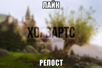 лайк репост