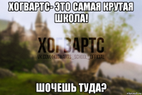 хогвартс- это самая крутая школа! шочешь туда?