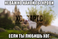 неважно какой ты крови если ты любишь хог