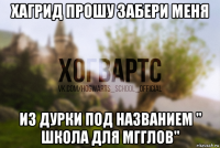 хагрид прошу забери меня из дурки под названием " школа для мгглов"