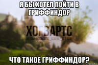 я бы хотел пойти в гриффиндор что такое гриффиндор?