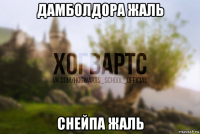 дамболдора жаль снейпа жаль